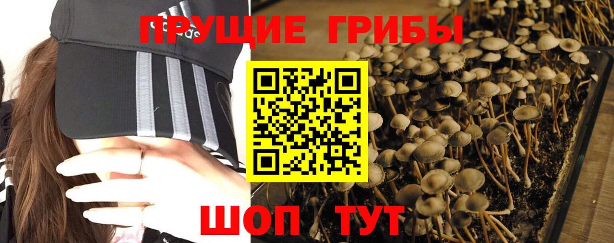 Псилоцибиновые грибы MAGIC MUSHROOMS Томск