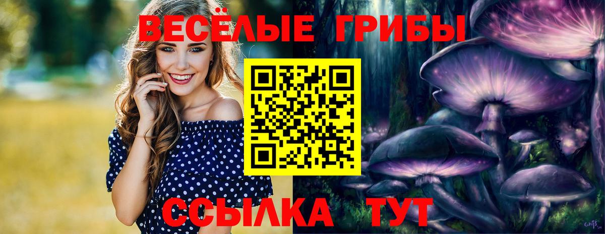 Галлюциногенные грибы GOLDEN TEACHER  Вход с VPN  Томск 